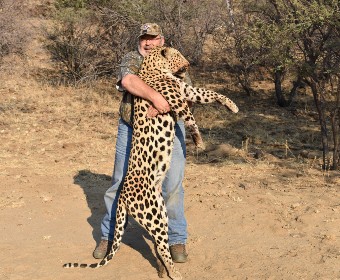 leopard